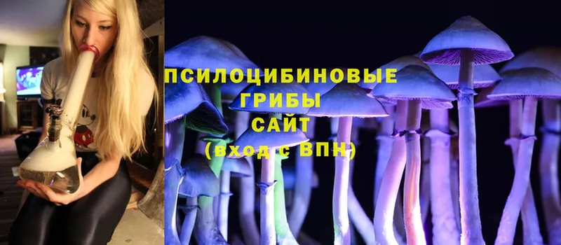 blacksprut ONION  Кашин  Галлюциногенные грибы Magic Shrooms  где продают  